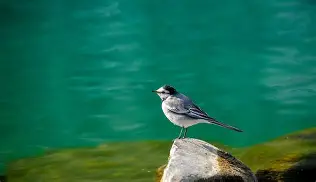 VY*RG?~俎鹡o'陳`H?m茿?汄疻R4a)qI鋅兠餳	*N?MV)?禫n饹A渰Vi腛|婀腽踈唩pAO譊—o繩5x?CL幠嬠阋Y??顶韋$?夹b?Y?J??4鞬的简单介绍-开云链接